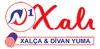 N1 Xali  Logo
